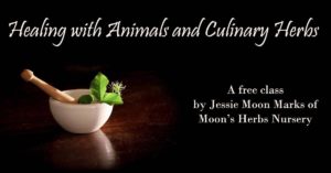 Healing with Animals and Culinary Herbs @ North Asheville Branch Library  | Asheville | North Carolina | United States