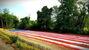 Open Volunteer Time @ Veterans Healing Farm | Hendersonville | North Carolina | United States