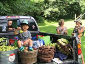 U Pick Apple Day @ Laughing Waters and Hickory Nut Forest  | Gerton | North Carolina | United States