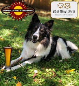 WMR's FIRST EVER Adoption Event! @ Asheville Brewing Company | Asheville | North Carolina | United States