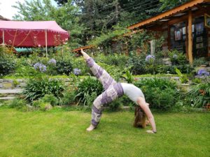 FREE Yoga @ Carrier Park | Asheville | North Carolina | United States