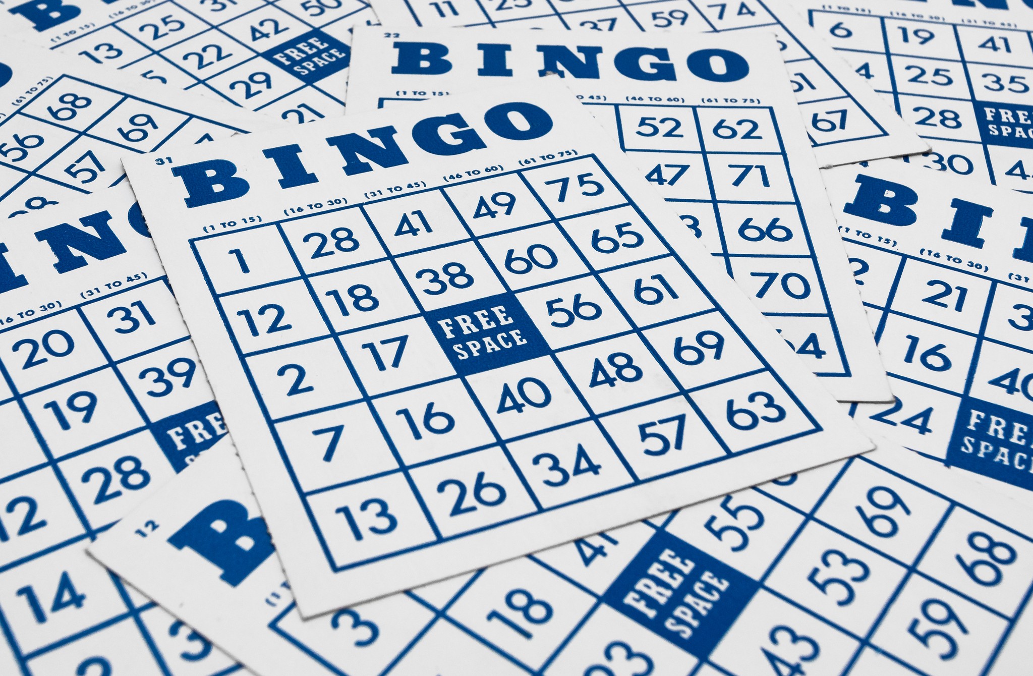 Bingo game cards. Bingo numbers with blue and white background.