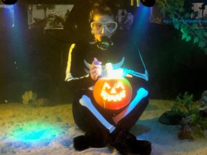 Underwater pumpkin carving @ Team ECCO Aquarium & Shark Lab | Hendersonville | North Carolina | United States