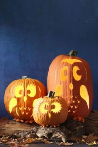 Pumpkin Carving & Pints @ Craft Centric Taproom & Bottle Shop  | Arden | North Carolina | United States