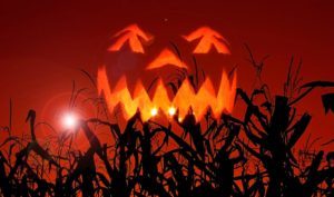 Hallows Eve Celebration @ Hickory Nut Gap Farm | Fairview | North Carolina | United States