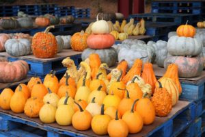 Pumpkin Celebration @ WNC Farmers Market | Asheville | North Carolina | United States