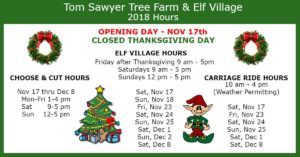 Choose & Cut Your Christmas Tree, Elf Village & Carriage Rides @ Tom Sawyer's Christmas Tree Farm and Elf Village | Glenville | North Carolina | United States