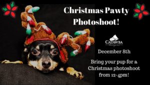 Christmas Pawty Photoshoot w/ Santa Claus @ Catawba Brewing Company - South Slope  | Asheville | North Carolina | United States