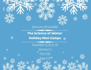 The Science of Winter Holiday Mini-Camp @ Asheville Museum of Science  | Asheville | North Carolina | United States