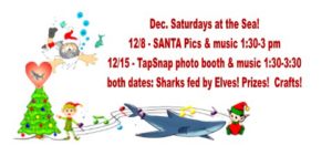 Santa at the Sea @ Team ECCO Aquarium & Shark Lab