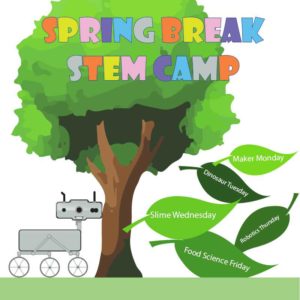 Spring Break STEM Camp (5-12yrs) @ Asheville Museum of Science