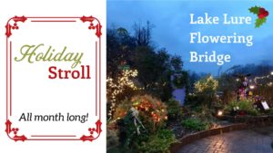 Holiday Stroll on the Lake Lure Flowering Bridge @ Lake Lure Flowering Bridge