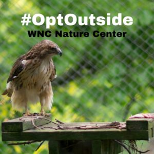 OptOutside at the WNC Nature Center @ WNC Nature Center 