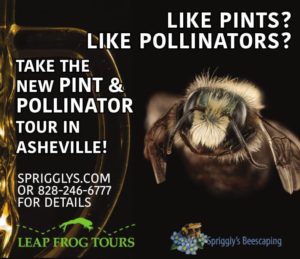 Pint & Pollinator Tour @ Asheville Museum of Science