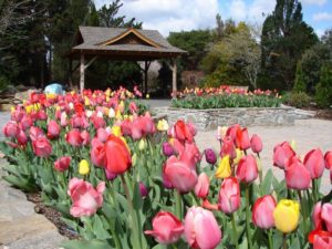 Spring Garden Tour @ Bullington Gardens