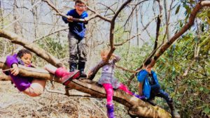 Saturday Nature Adventures @ Foreast Floor Wilderness Programs