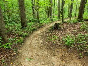 Burn Boot Camp Group Hike @ HardTimes trailhead