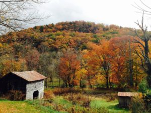 Family Farm Afternoon (Walking-4yrs) @ Rowan Berry Farm