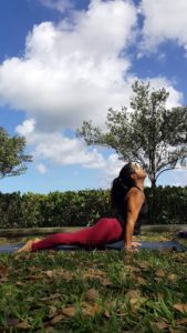 Yoga in the Park Asheville @ Carrier Park