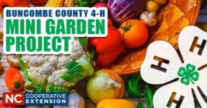 Mini Garden Project @ NC Cooperative Extension - Buncombe County