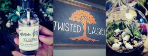 Sips & Succulents (all ages) @ Twisted Laurel (Weaverville)