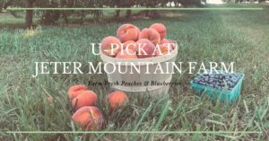 U-Pick Peaches & Blueberries @ Jeter Mountain Farm