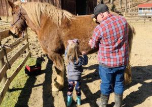 Morning At The Horse Barn @ Canaan Valley Farm