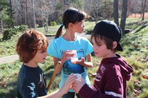 Free Kids Insect Hike-Registration Required @ The North Carolina Arboretum