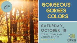 Gorgeous Gorges Colors @ Friends of Gorges State Park