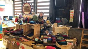 Asheville City Schools Craft Fair @ Salvage Station