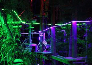 Twilight in the Treetops Saturday Night Climb @ Adventure Center of Asheville