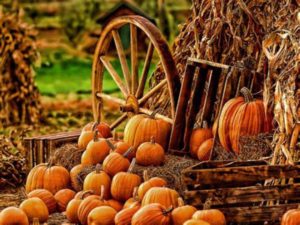 Fall Festival at the Market @ Weaverville Tailgate Market