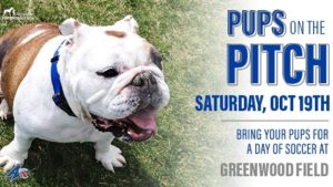 Pups on the Pitch @ Greenwood Soccer Field at UNC Asheville