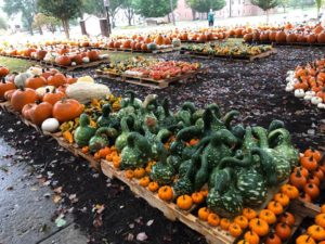 Fundraiser Pumpkin Patch @ Brevard First United Methodist Church