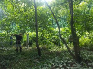 Community Workday @ Dr. George Washington Carver Edible Park