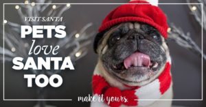 Santa Paws Pet Photo Night @ Asheville Mall