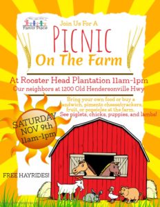 Family Picnic at Rooster Head @ Rooster Head Plantation