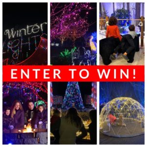 NC Arboretum Winter Lights FACEBOOK GIVEAWAY CONTEST @ on the Family Friendly Asheville Facebook page