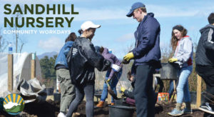 Volunteer Workday @ Sandhill Native Tree Nursery and Edible Orchard