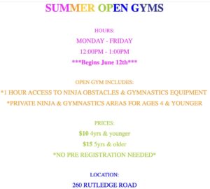 Summer Open Gym (Ages 6 and Under) @ OSEGA Dream Academy