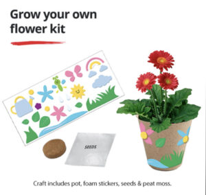 JCPenney Kid Zone Crafting Event - Grow You Own Flower Kit @ JCPenney locations Nationwide