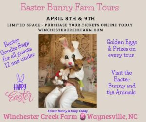 Easter Bunny Farm Tours @ Winchester Creek Farm Alpacas & Minis