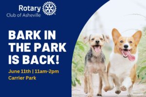 Rotary Bark in the Park - Dog Walk Event @ Carrier Park