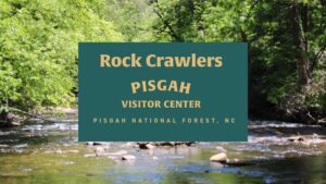 Rock Crawlers Outdoor Educational Program (Ages 4-7) @ Pisgah Visitor Center