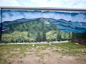 Safe Nest (previous World of Clothing building) MURAL DEDICATION