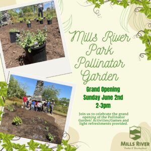 Mills River Park Pollinator Garden Grand Opening @ Mills River Park